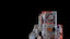 Loading 3D Model