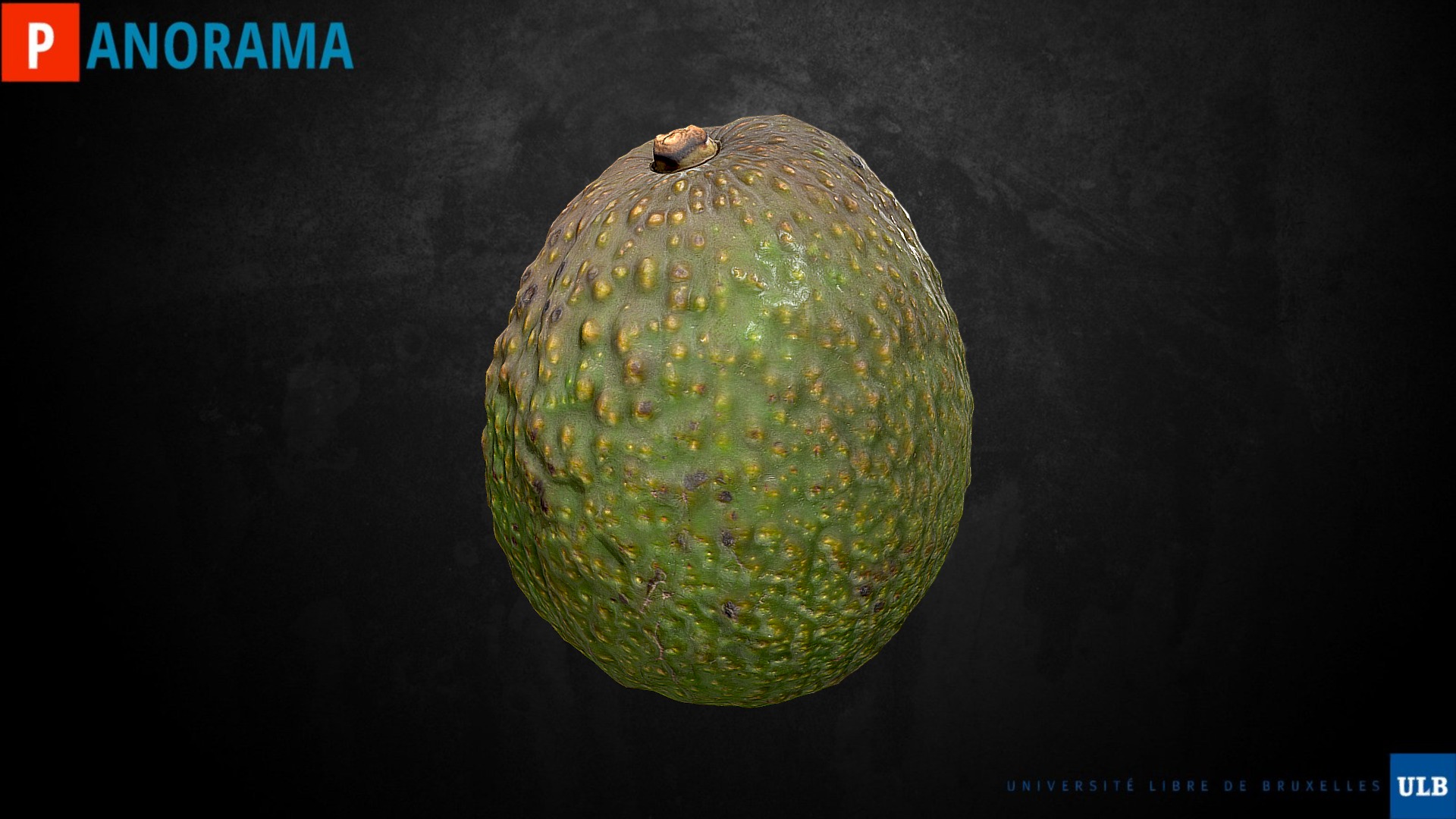 3D model Avocat - This is a 3D model of the Avocat. The 3D model is about a green apple with a black background.