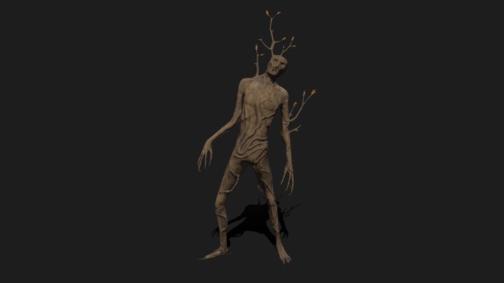 Root Husk 3D Model