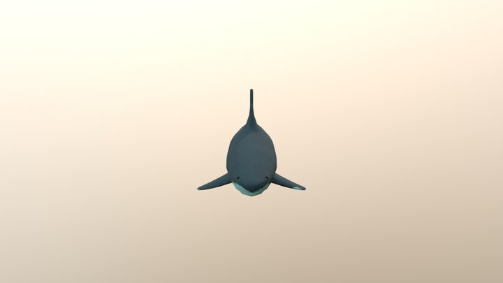 Shark - Bioshock 3D Model