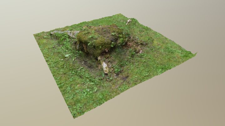 Tree Stump Nr.2 3D Model