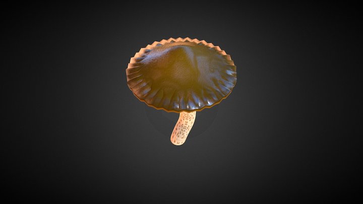 Mushroom Natural 3D Model