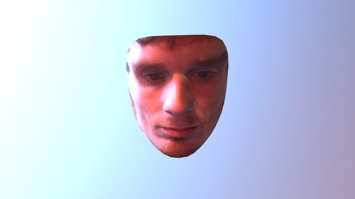 face.obj 3D Model