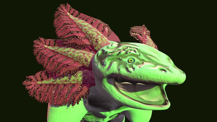 EL BLANCO - AXOLOTL 3D Model