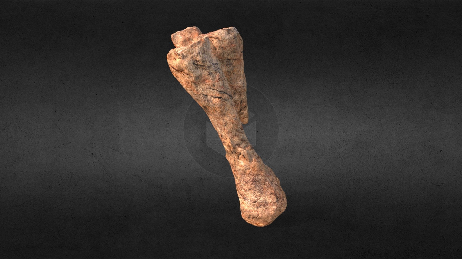 Retopo1 1