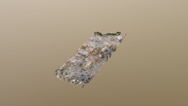 B811 3D Model