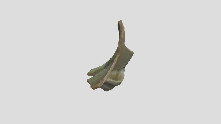 POT_025 3D Model