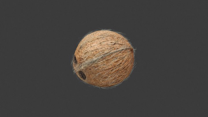 coconut 3D Model