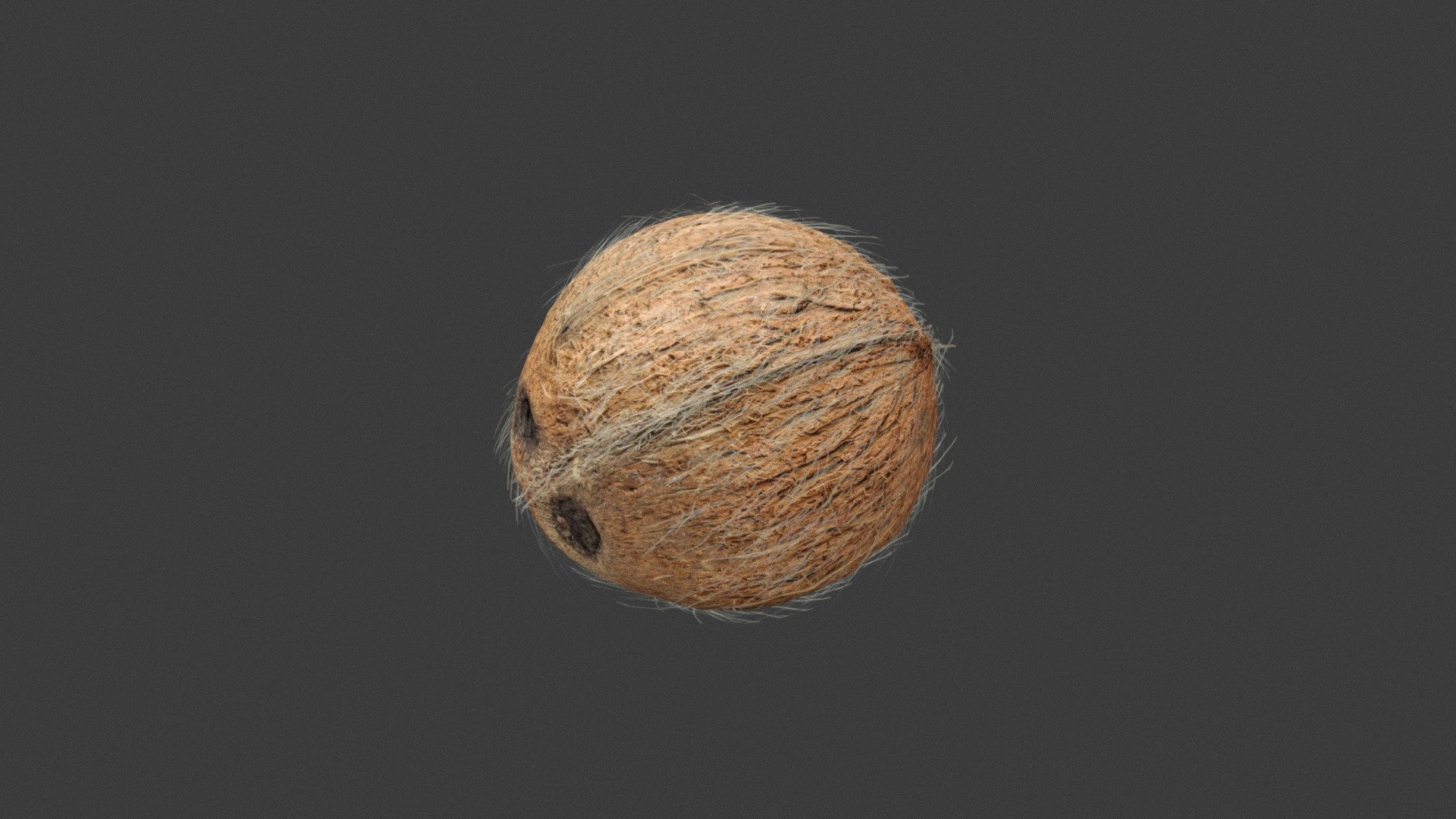 coconut - Buy Royalty Free 3D model by aramus88 [0bd3027] - Sketchfab Store