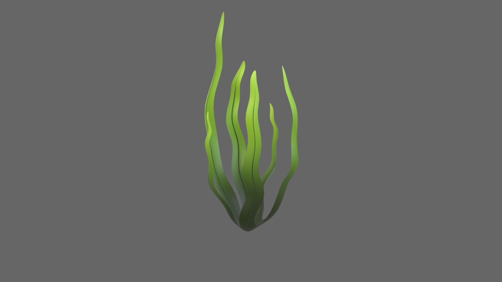 3D model Seaweed - This is a 3D model of the Seaweed. The 3D model is about a close up of a plant.