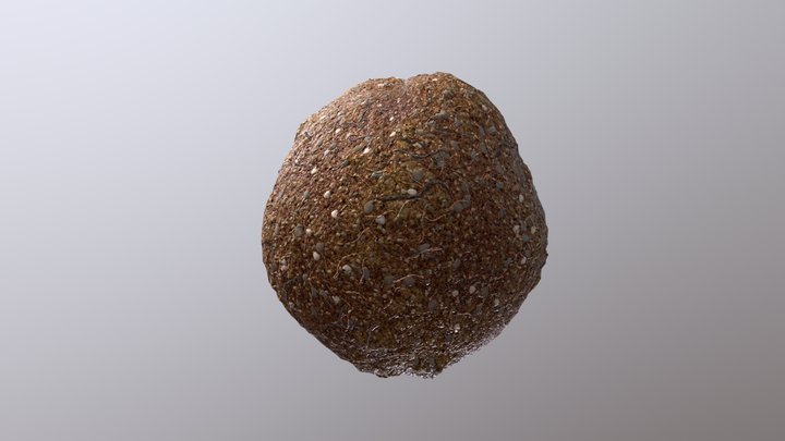 Dirt 3D Model