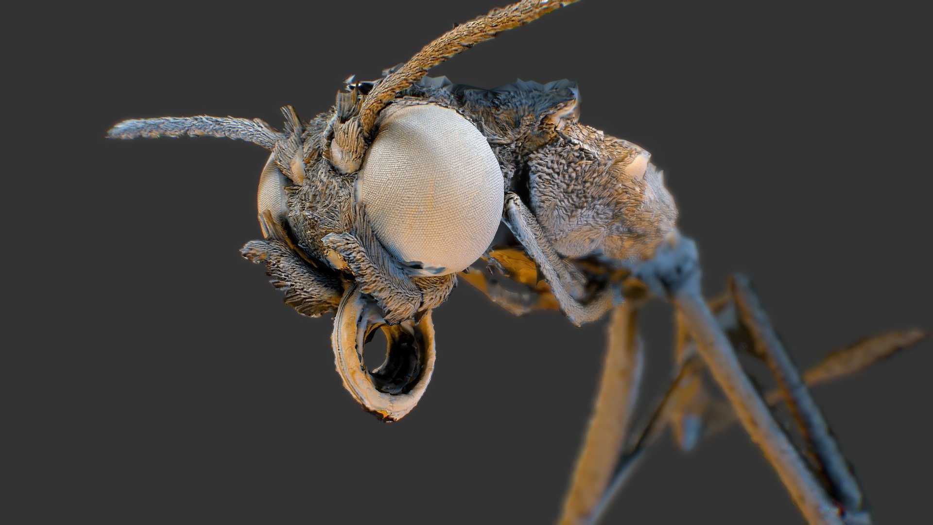 Micro test