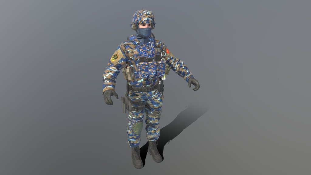 Vietnam People Navy