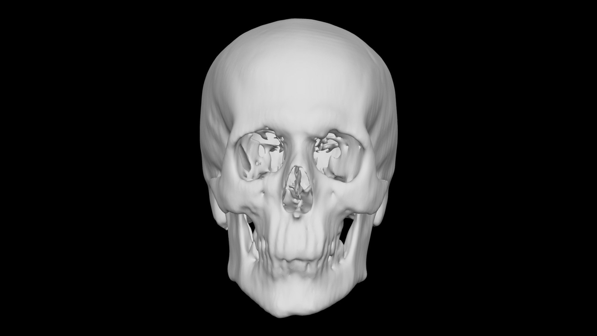 Skull Male no age