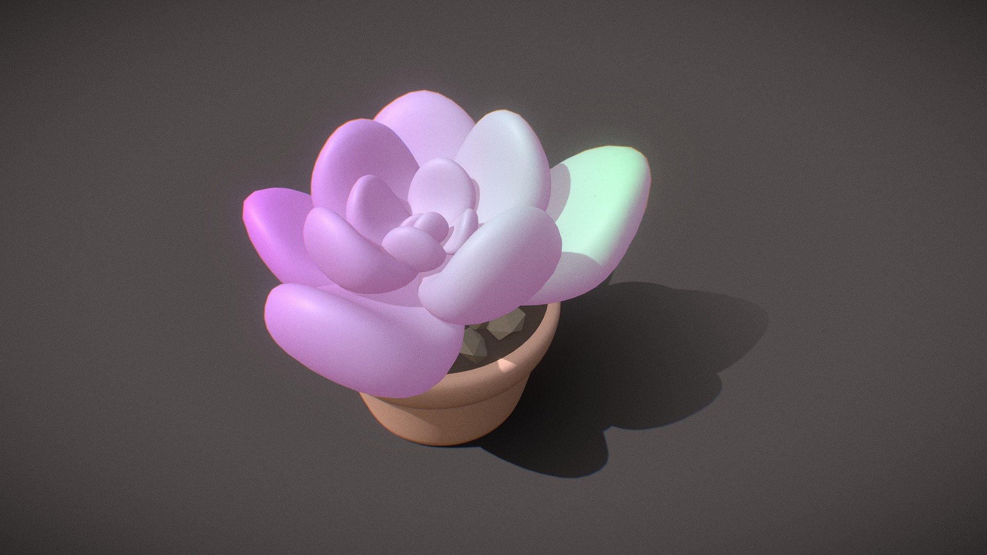 succulent - Download Free 3D model by mayymuu (@miimosa) [0bdd369 ...