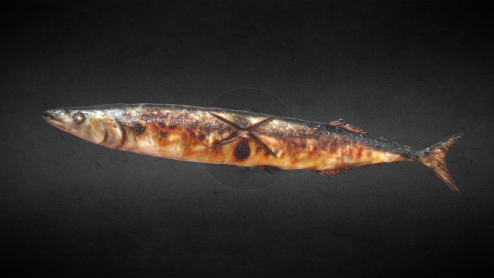 Salt-Grilled Pacific Saury (Sanma no Shioyaki) 3D Model