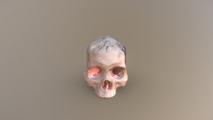 Treated Skull | Human skull 3D scan 3D Model