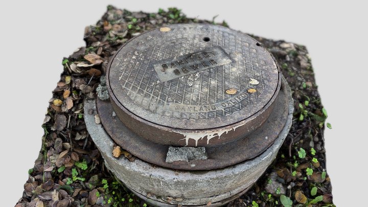 54: Manhole cover 3D Model
