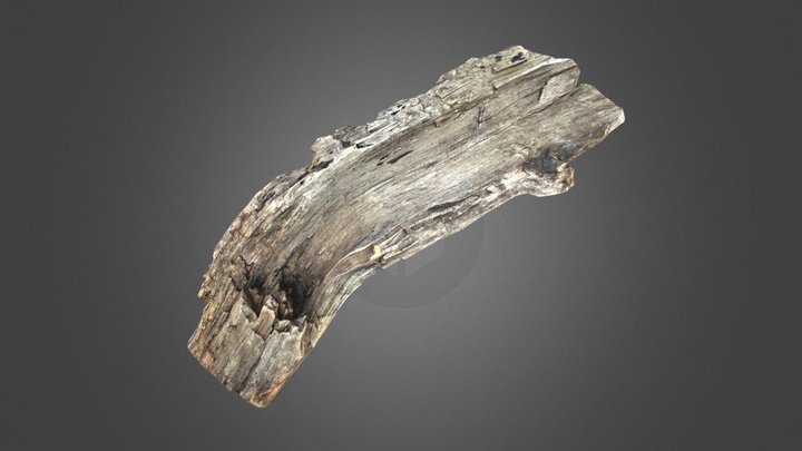 A realistic section of tree trunk 3D Model