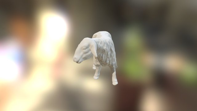 Oveja- Lado2 3D Model