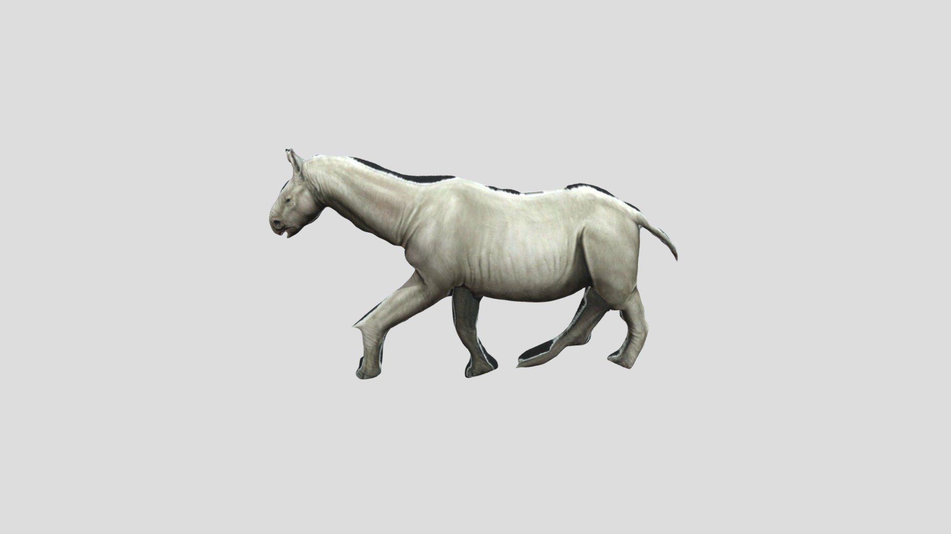 Paraceratherium - Download Free 3D model by zippyzoomy1 [0be6f1f ...