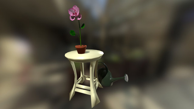 Still Life - Orchid 3D Model