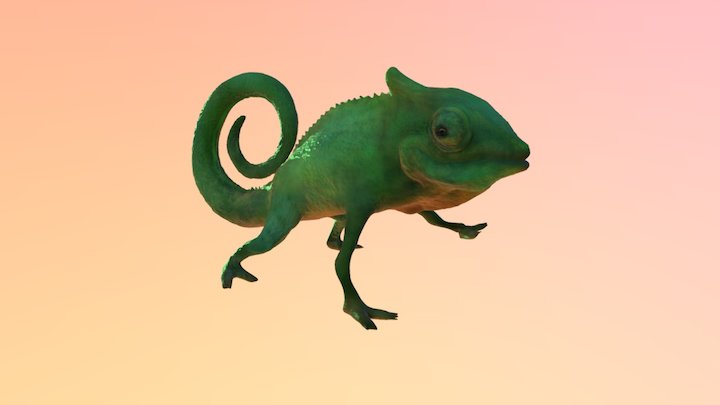 Chamaleon Sculpt 3D Model