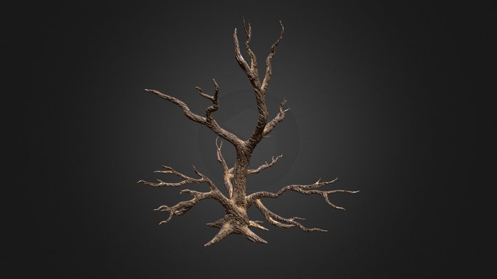 Old crooked tree 3D Model