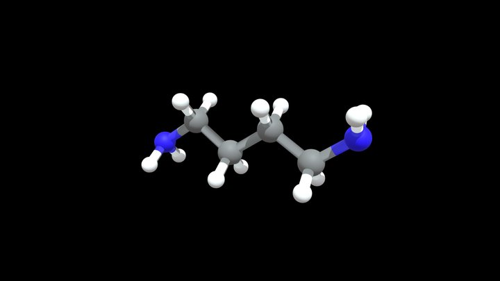 Putrescine – Kostenloses 3D-Modell STL