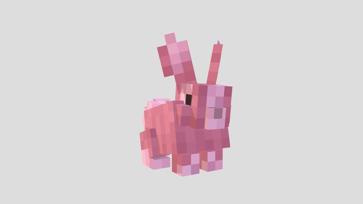 Rabbit | Model CPM 3D Model