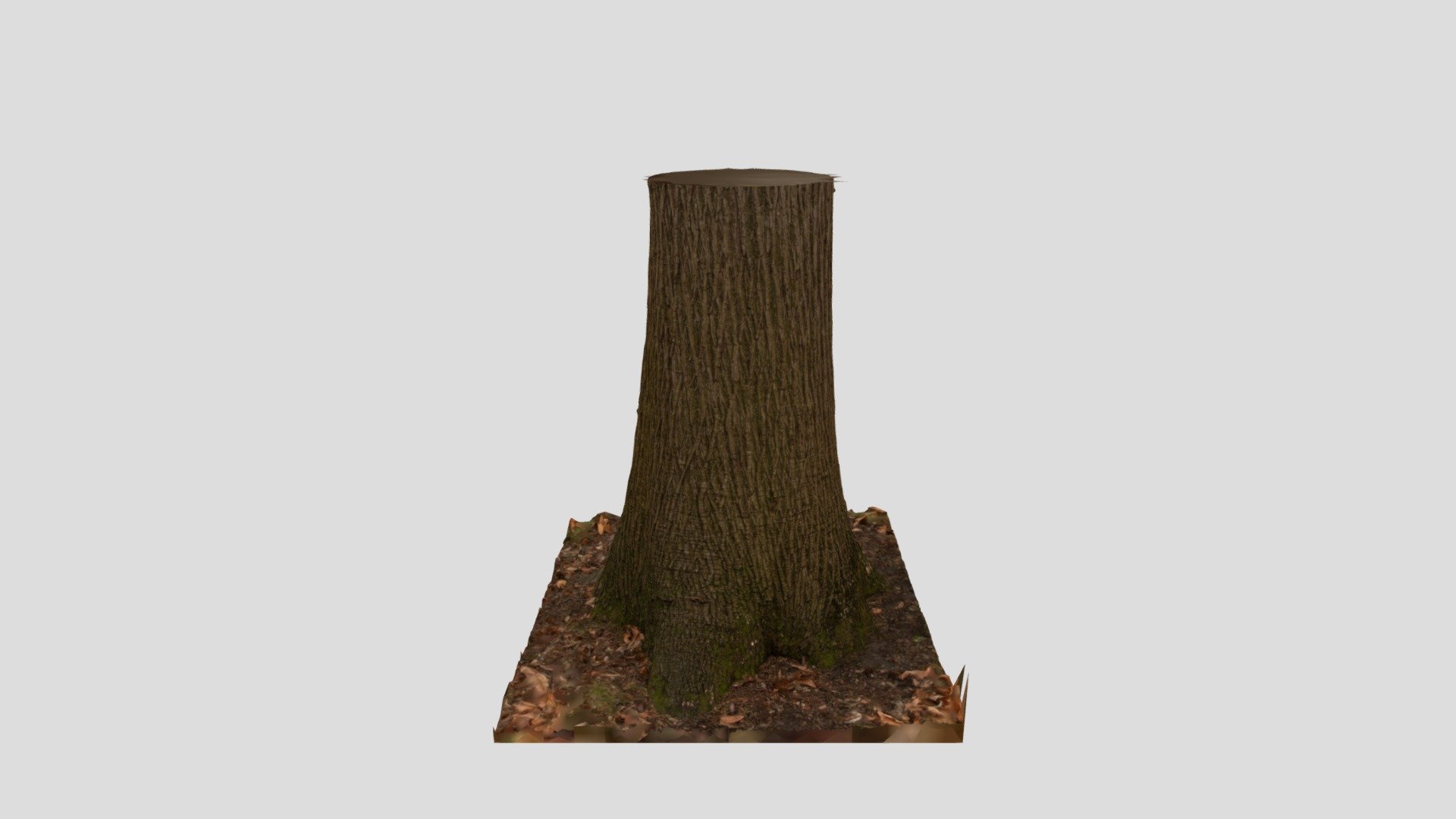 ChestnutTree - 3D model by danielnorman [0bf44c6] - Sketchfab