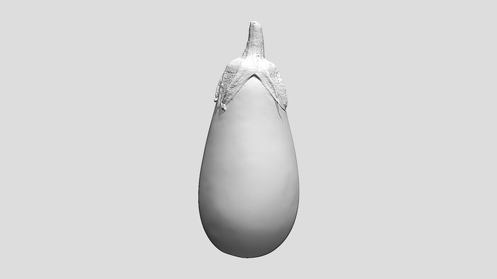Eggplant - Ultra-Realistic 3D Print Model 3D Model