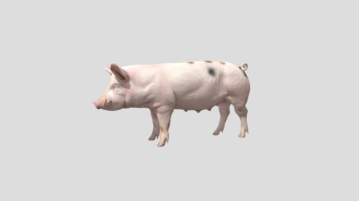 Spotty Pink Pig – Kostenloses 3D-Modell STL