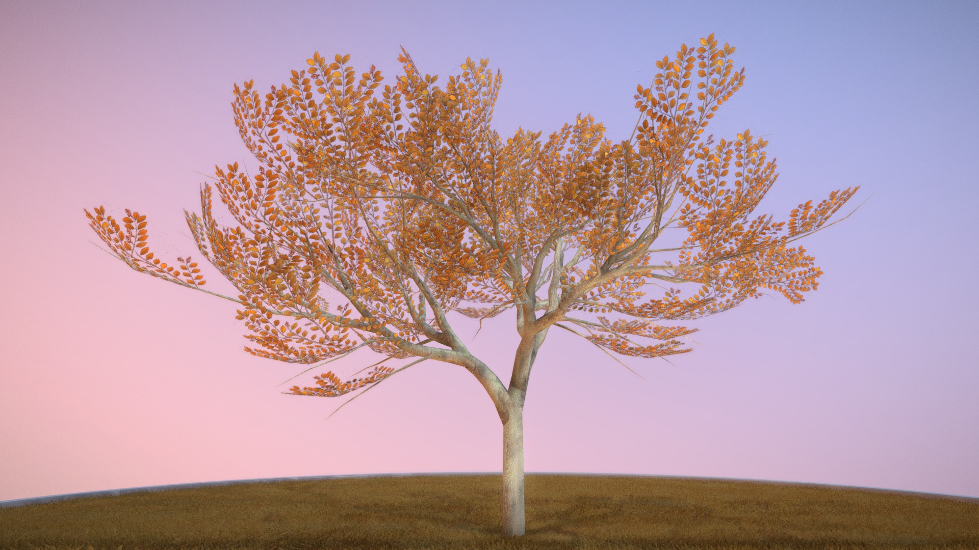 3D model Plum Trees 8m Autumn - This is a 3D model of the Plum Trees 8m Autumn. The 3D model is about a tree with orange leaves.