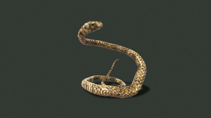 Snake – Free 3D Model STL