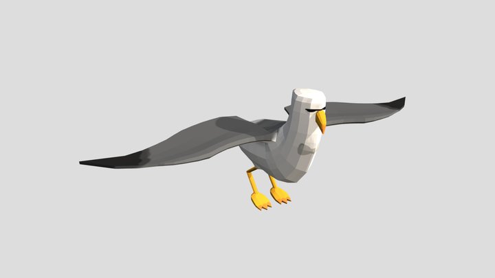 Low-poly Seagull 3D Model
