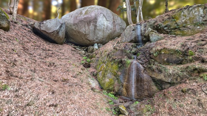 Turtle Stone(japan)