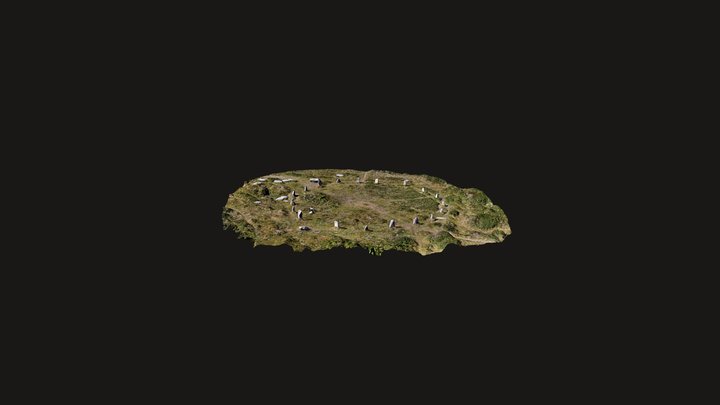 Tregeseal Stone Circle 3D Model