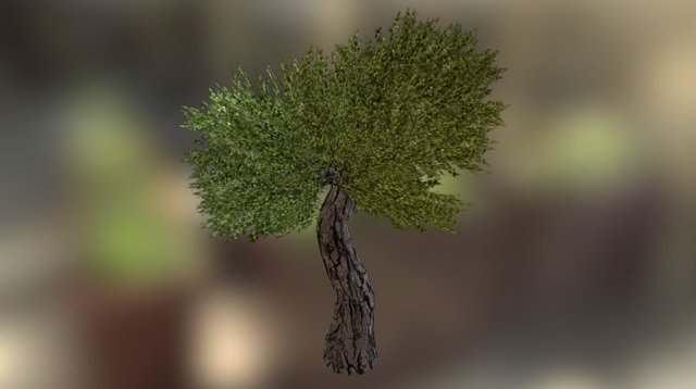 Tree 3D Model