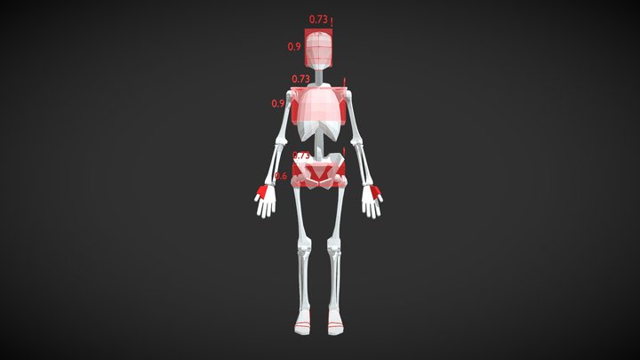 Female Skeleton With Ratio Boxes 3D Model