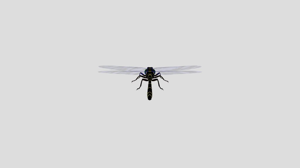 Dragonfly
