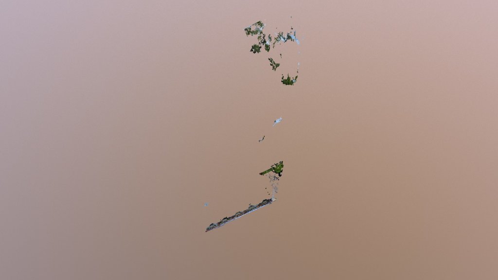 Justin dataset 21 Point Cloud