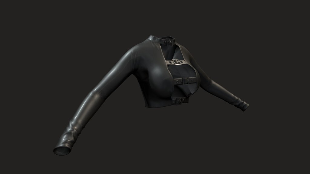 Leather jacket (with belt and stuff)