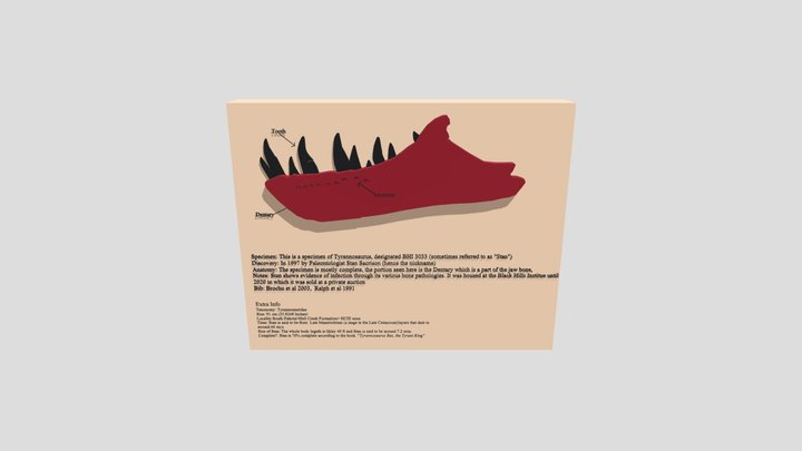 Stan the Tyrannosaurus Lower Jaw model for print 3D Model