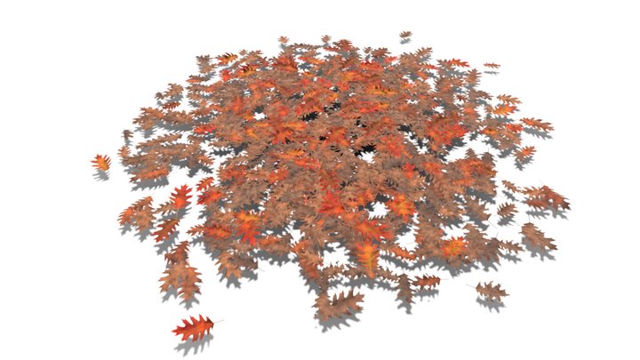 Realistic HD Red oak leaf litter (23/36) 3D Model