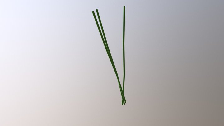 Stem 3D Model