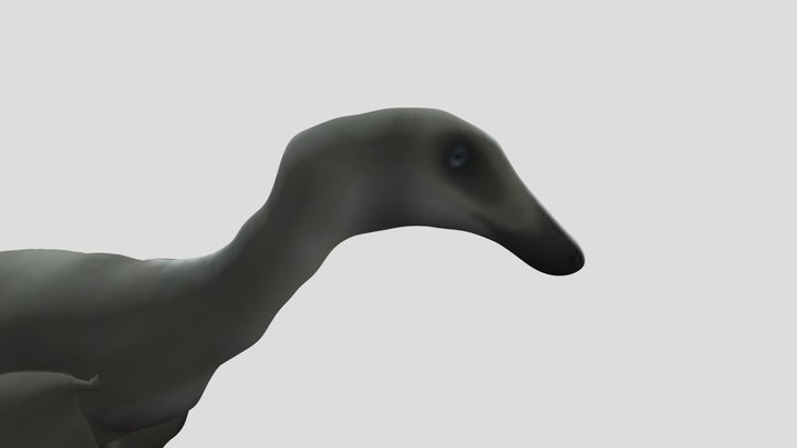 Velociraptor (with feathers) 3D Model