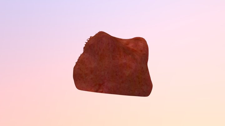 New Qlone 3D Model