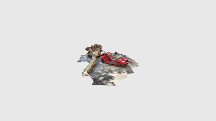 Unlucky car 3D Model