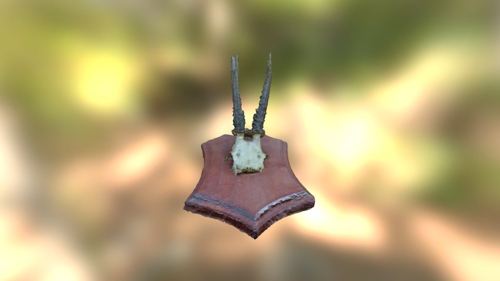 Horns - 3D Scan
